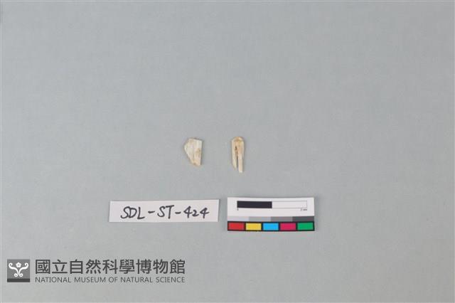 玉飾藏品圖，第2張