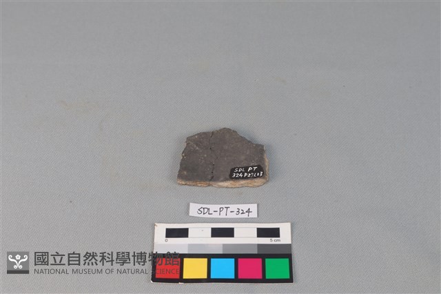 陶片藏品圖，第2張