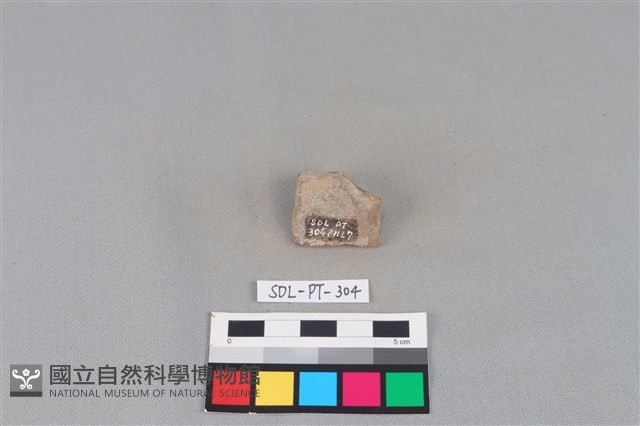 陶片藏品圖，第2張