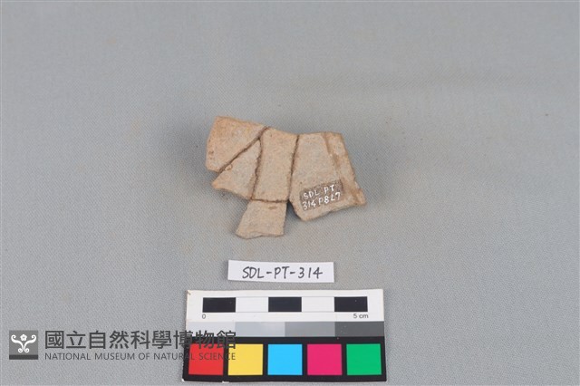 陶片藏品圖，第2張