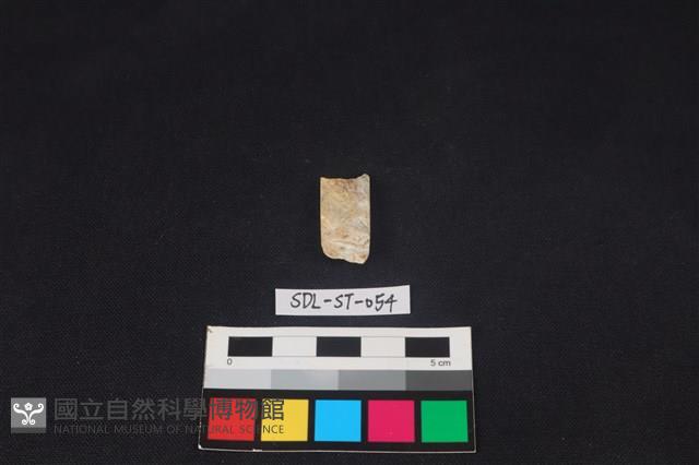 錛鑿形器藏品圖，第2張