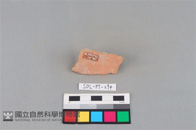 陶片藏品圖，第2張