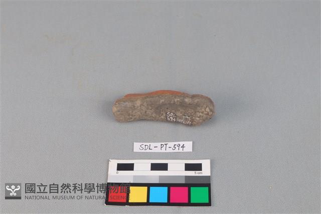 陶網墜藏品圖，第2張