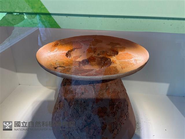 連杯形器藏品圖，第2張