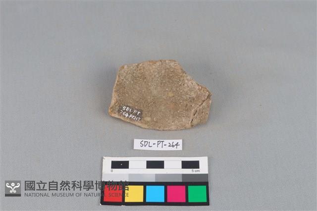 陶片藏品圖，第2張