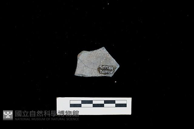 陶片藏品圖，第2張