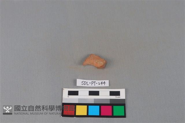 陶片藏品圖，第2張