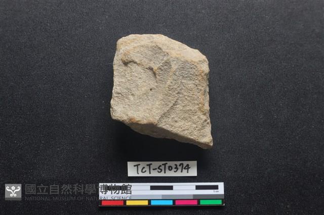 斧鋤形器藏品圖，第2張