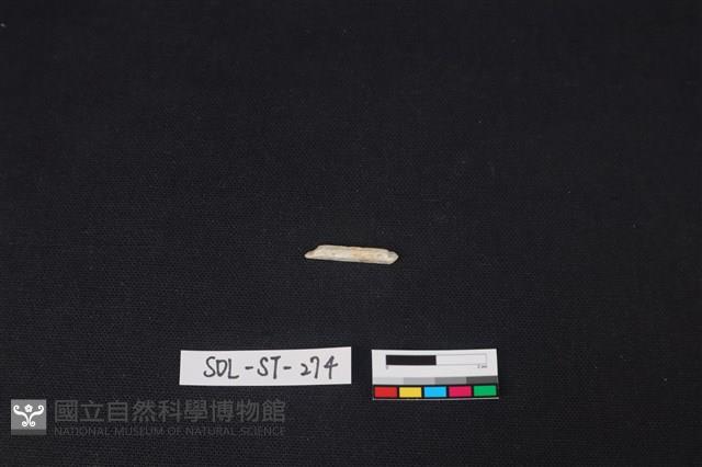 玉簪藏品圖，第2張