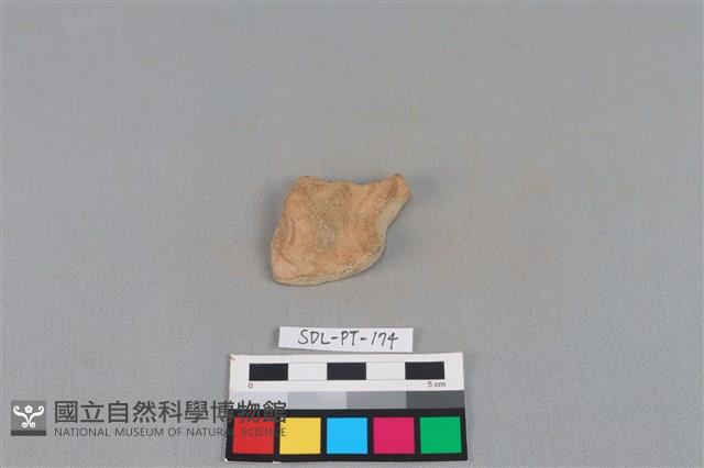 連杯形器藏品圖，第2張