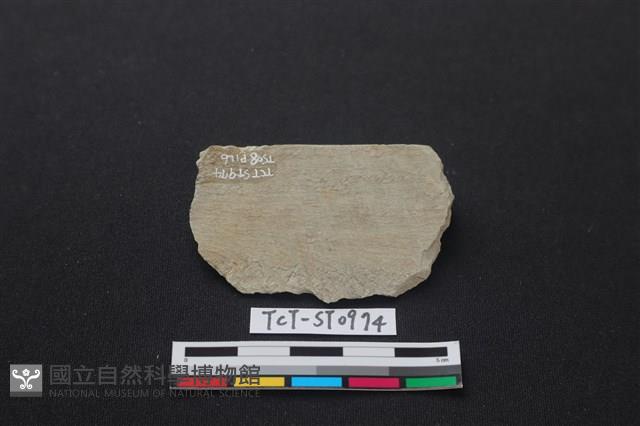 錛鑿形器藏品圖，第2張