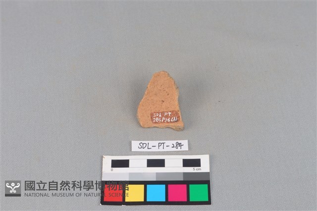 陶片藏品圖，第2張