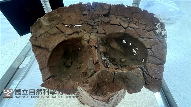 連杯形器藏品圖，第2張