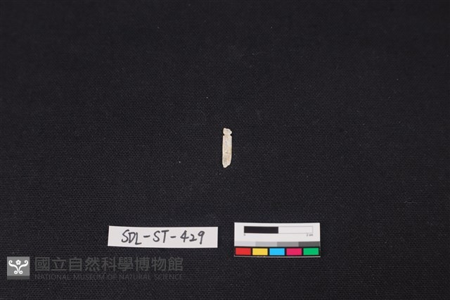 玉飾藏品圖，第2張
