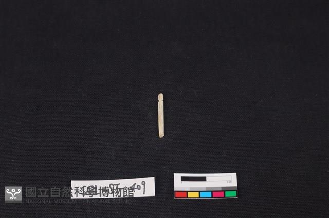 玉飾藏品圖，第2張
