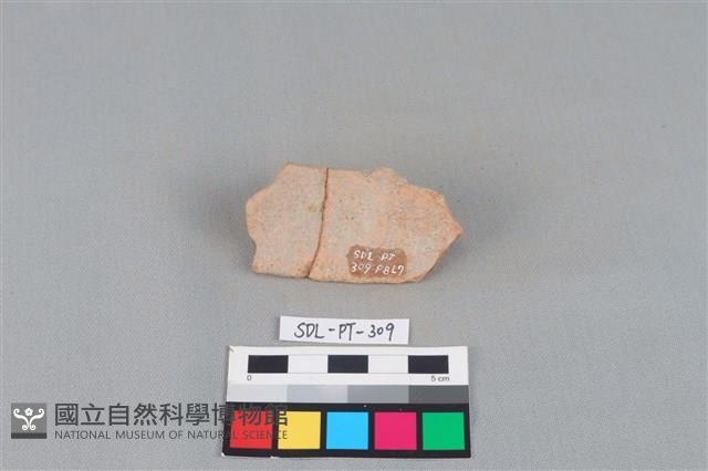 陶片藏品圖，第2張