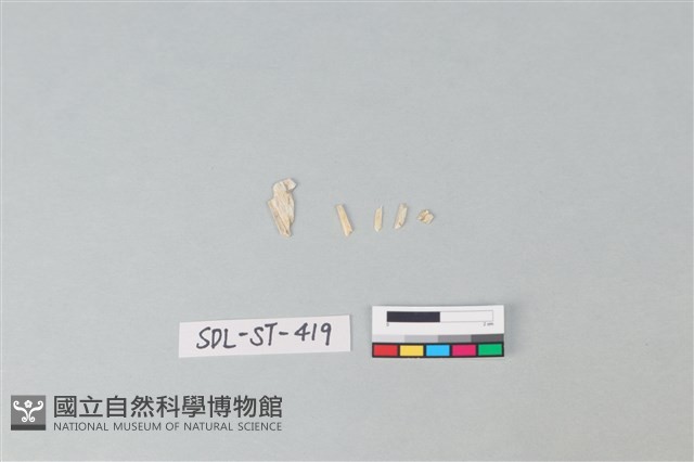 玉飾藏品圖，第2張