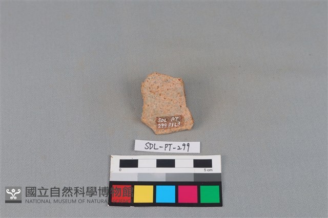 陶片藏品圖，第2張