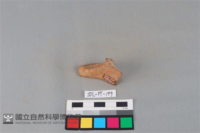 陶罐藏品圖，第2張