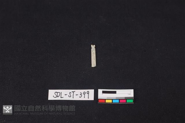 玉飾藏品圖，第2張