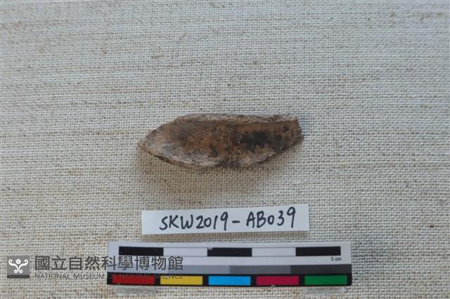 獸骨藏品圖，第2張