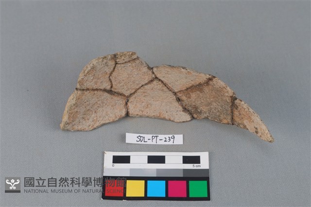 陶罐藏品圖，第2張