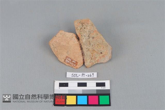 陶片藏品圖，第2張