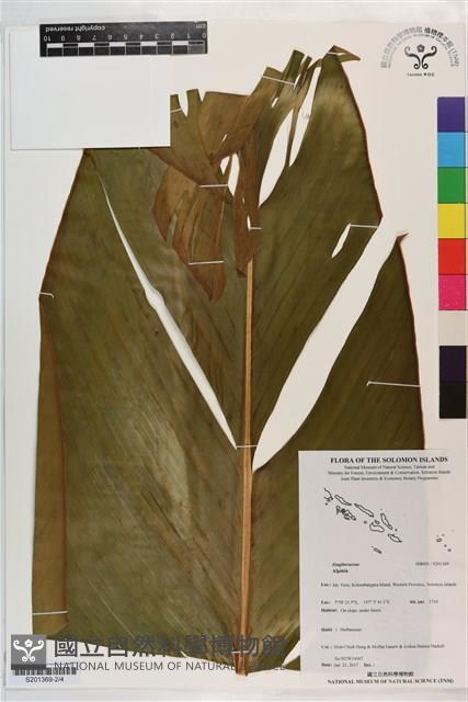 登錄號:S201369藏品圖，第2張