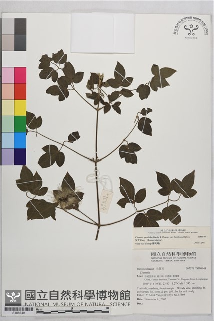 登錄號:S186649藏品圖，第2張