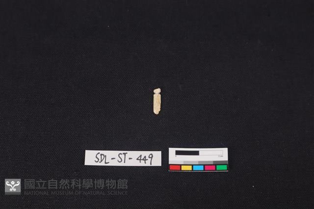 玉飾藏品圖，第2張