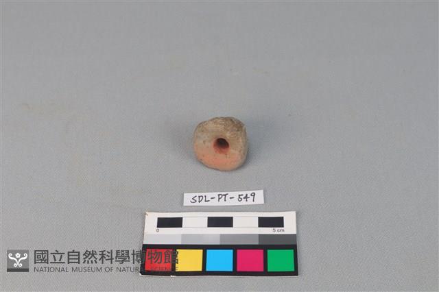 紡輪藏品圖，第2張