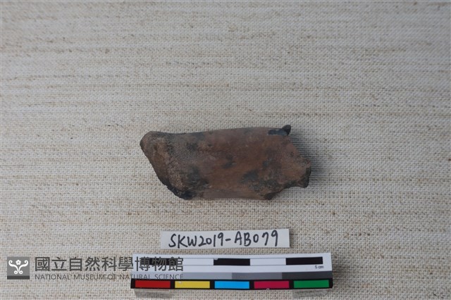 獸骨藏品圖，第2張