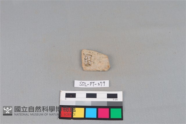 陶片藏品圖，第2張