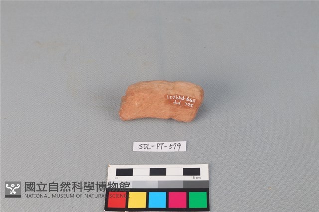 陶網墜藏品圖，第2張