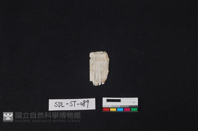 玉飾藏品圖，第2張