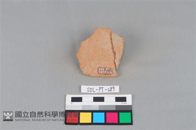 陶片藏品圖，第2張