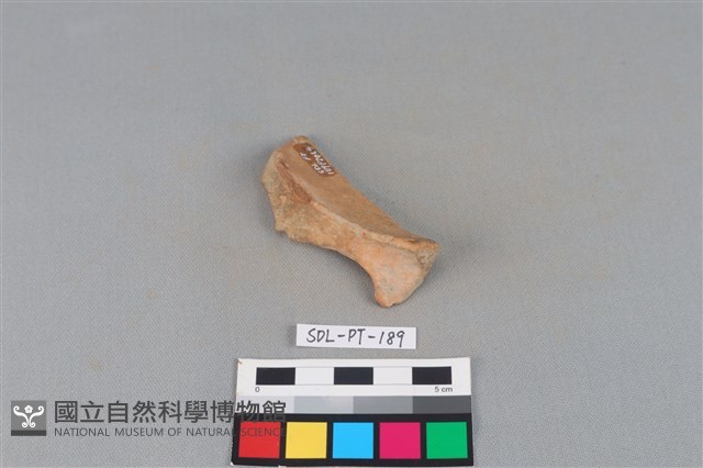 連杯形器藏品圖，第2張