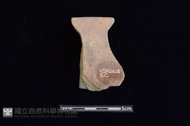 陶片藏品圖，第2張