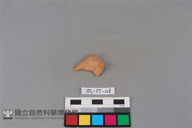 陶片藏品圖，第2張