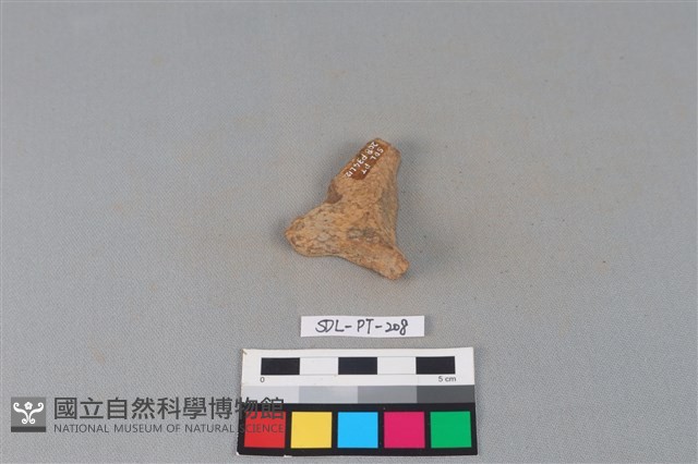 連杯形器藏品圖，第2張