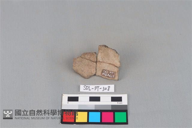 陶片藏品圖，第2張