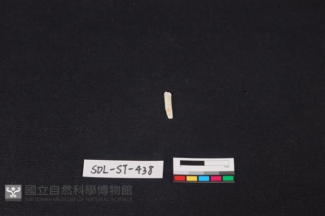 玉飾藏品圖，第2張