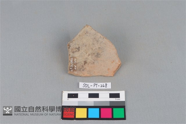 陶片藏品圖，第2張