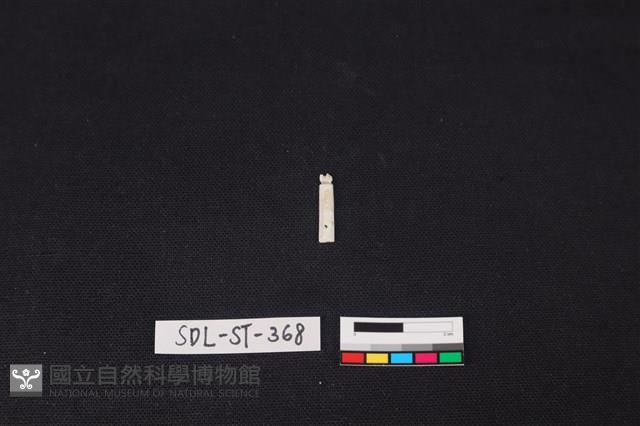 玉飾藏品圖，第2張