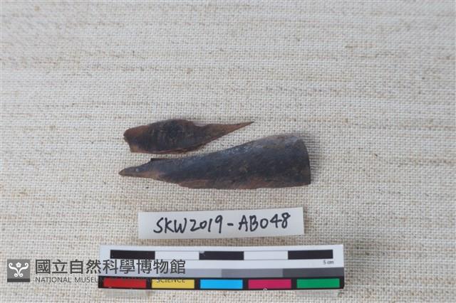 Accession Number:SKW2019-AB048 Collection Image, Figure 2, Total 2 Figures