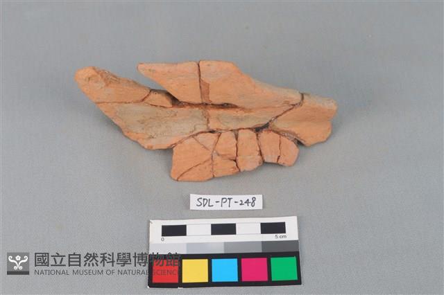 連杯形器藏品圖，第2張