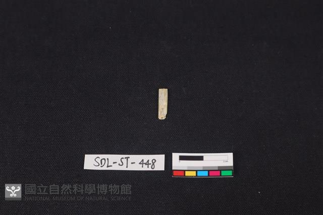 玉飾藏品圖，第2張