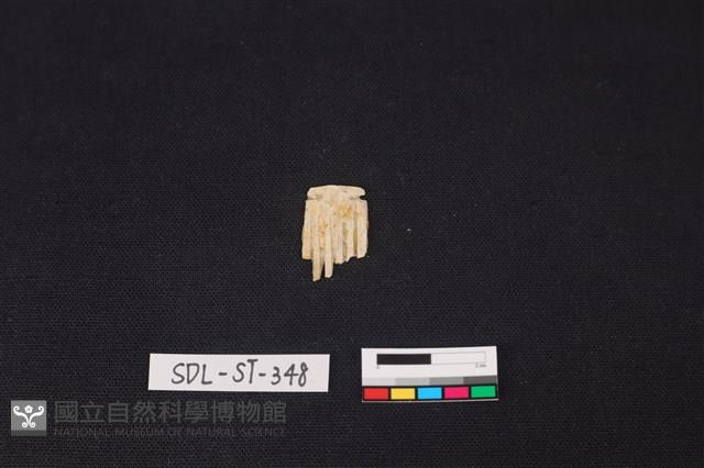 玉飾藏品圖，第2張