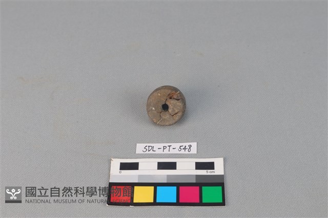 紡輪藏品圖，第2張