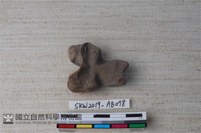 獸骨藏品圖，第2張
